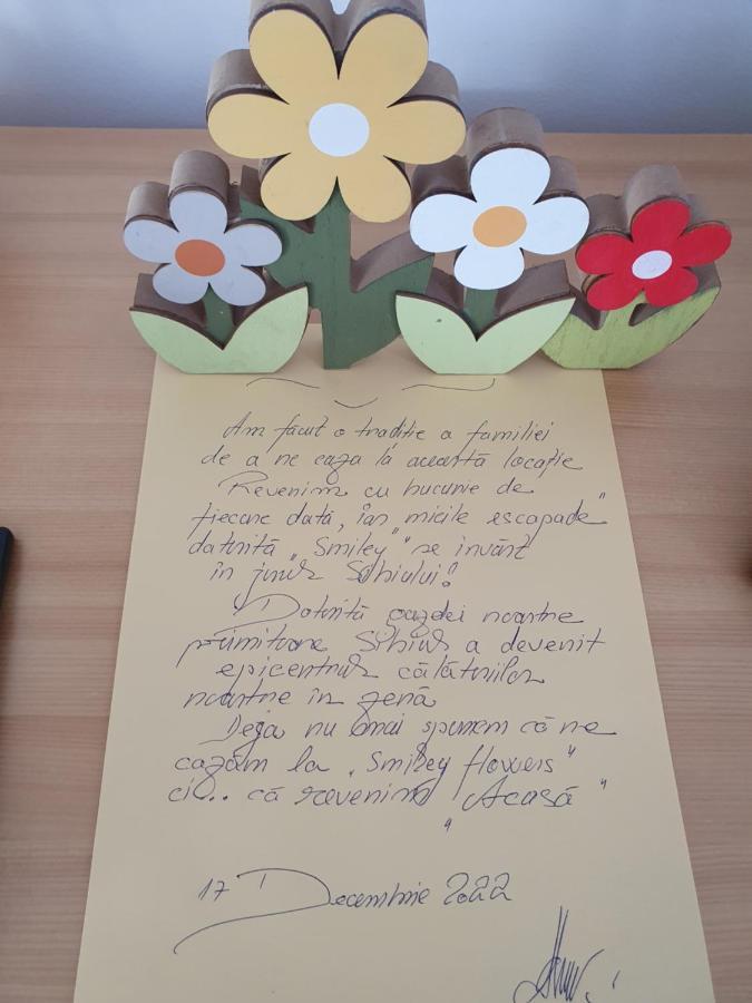 Smiley Flowers Sibiu Extérieur photo